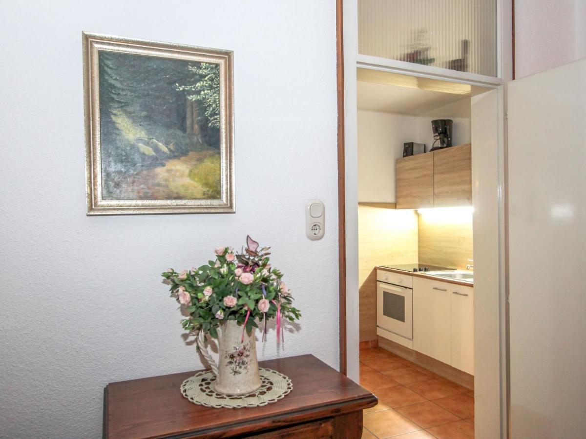 Apartment Am Birkenhain-29 By Interhome 蒂罗尔-泽费尔德 外观 照片